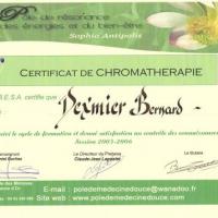 Chromatothérapie 2006