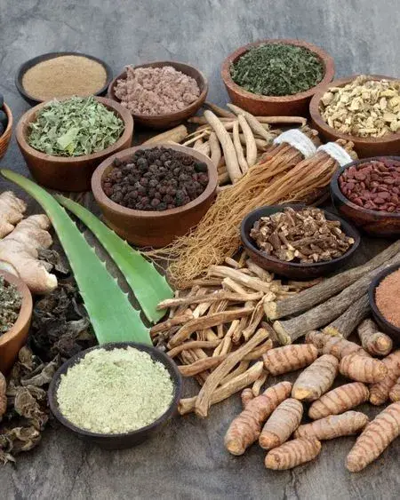 Plantes ayurve diques